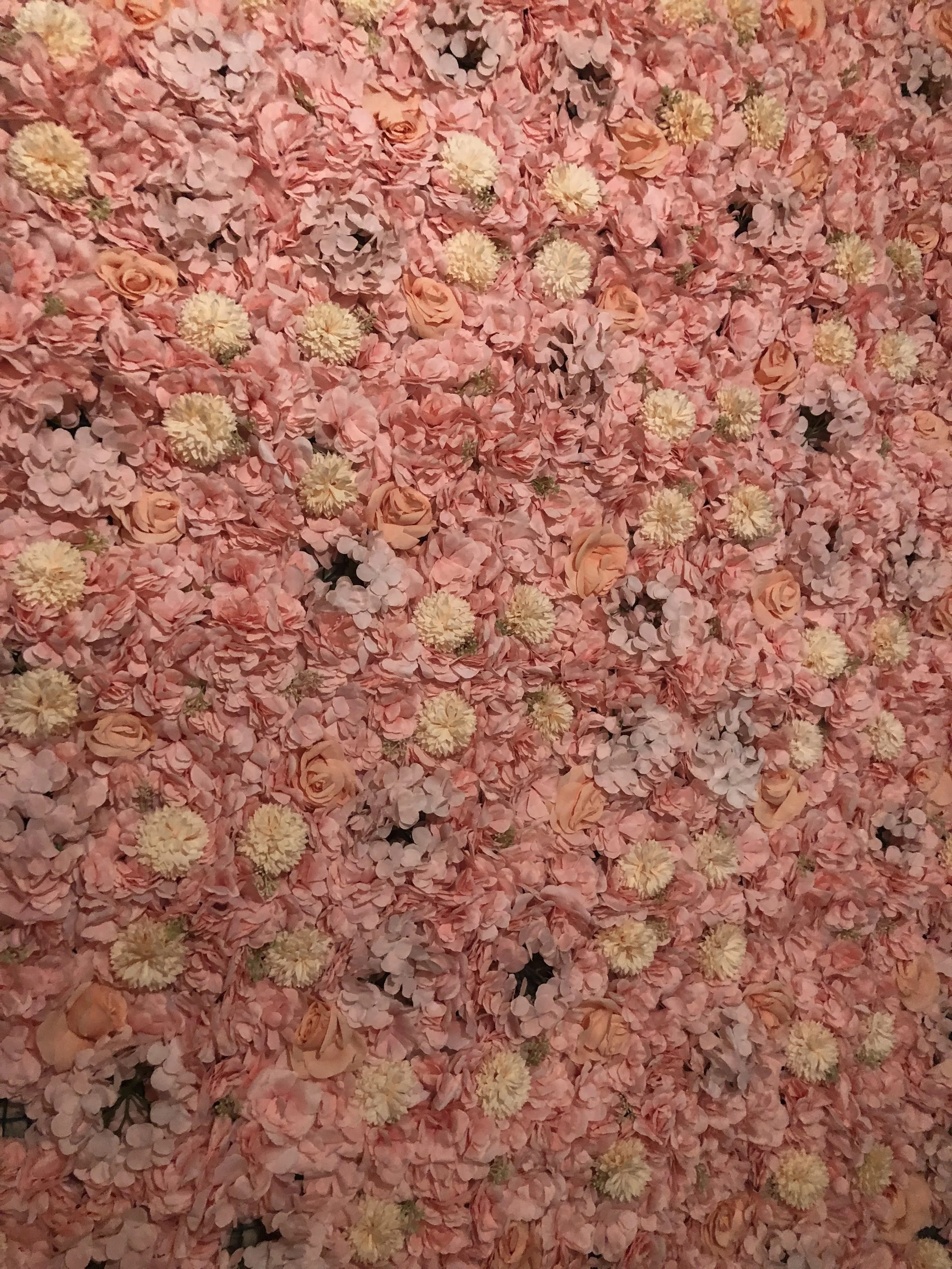 Pink Flower Wall