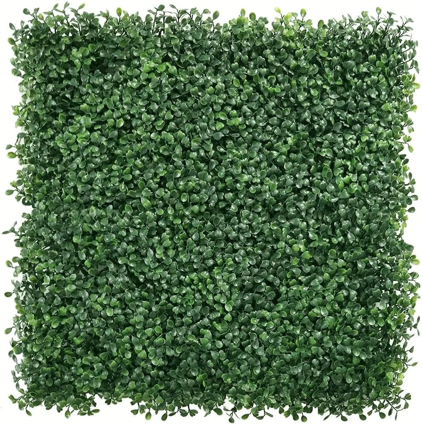 Dark Green Wall