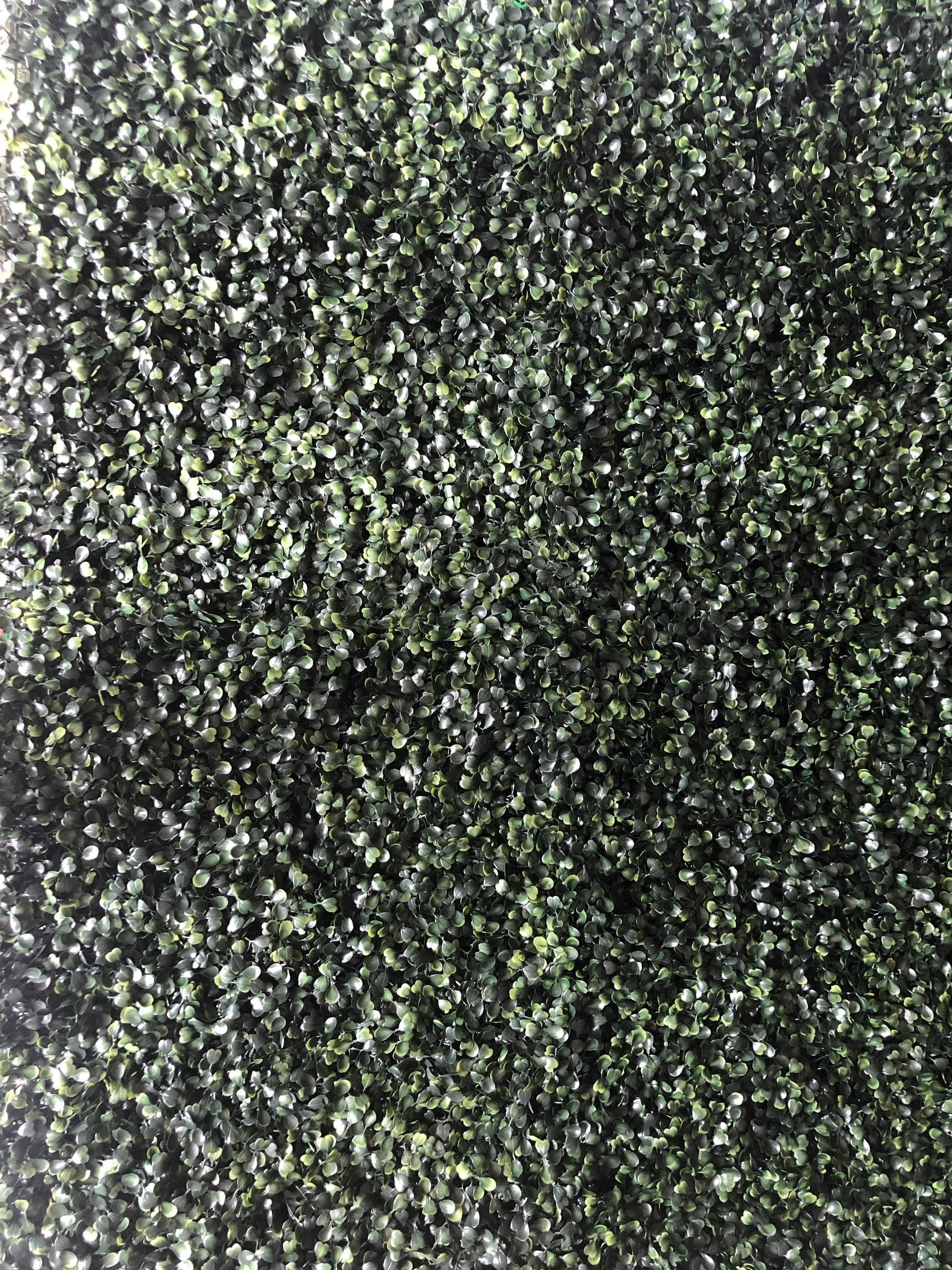 10x10 Green Wall