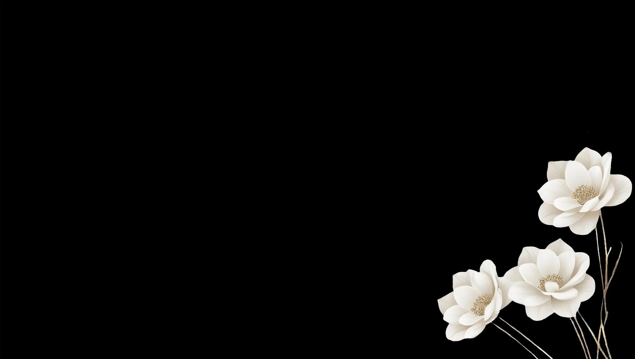 White flowers with beige centers arranged on a black background in the bottom right corner.