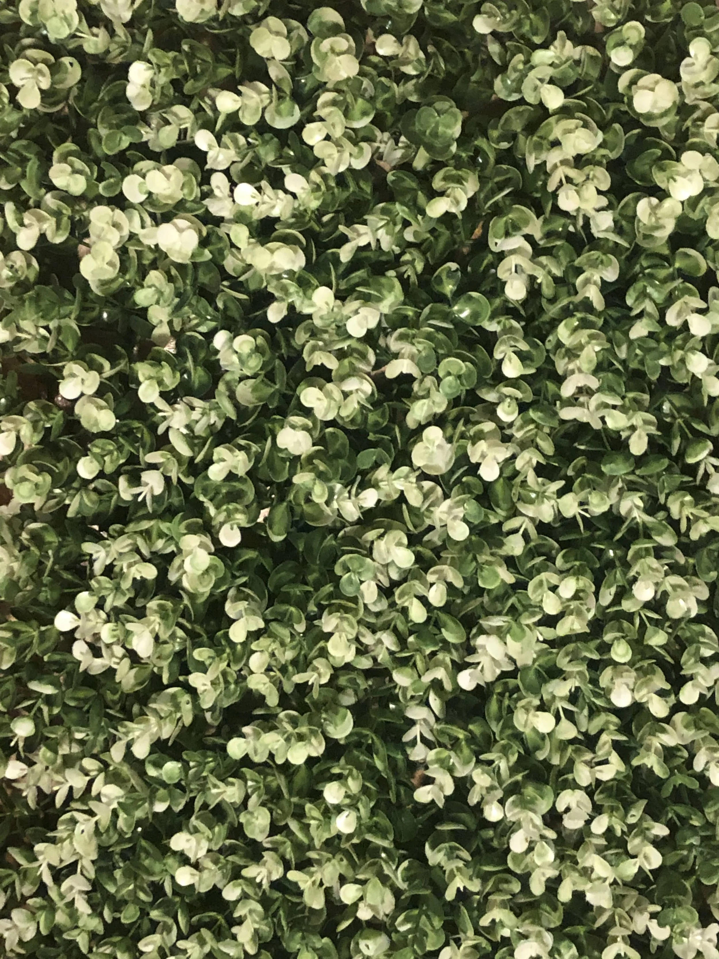 Green Wall